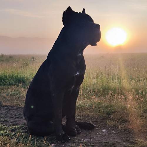 Photo #12579841