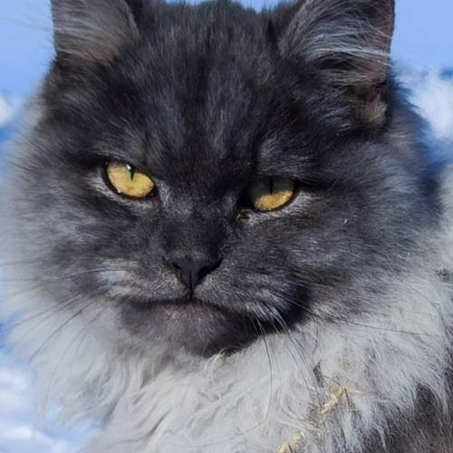 Photo #12579843