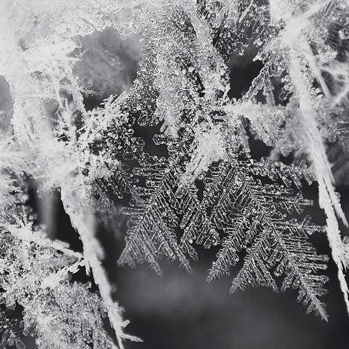 Photo #12579844
