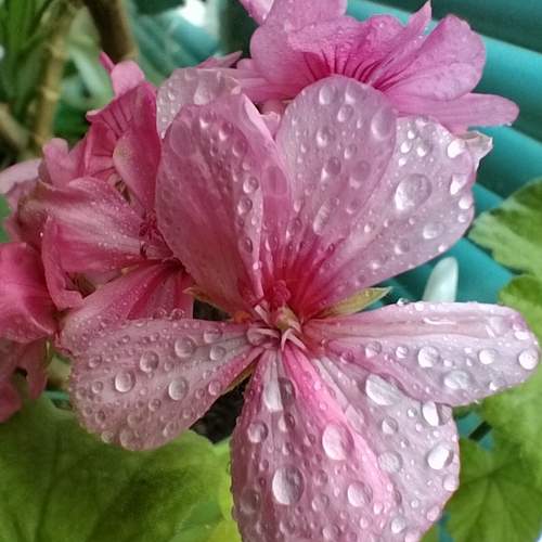Photo #12579869