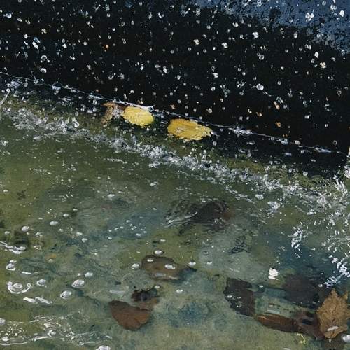 Photo #12579906