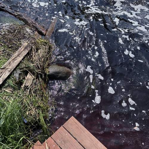 Photo #12579912