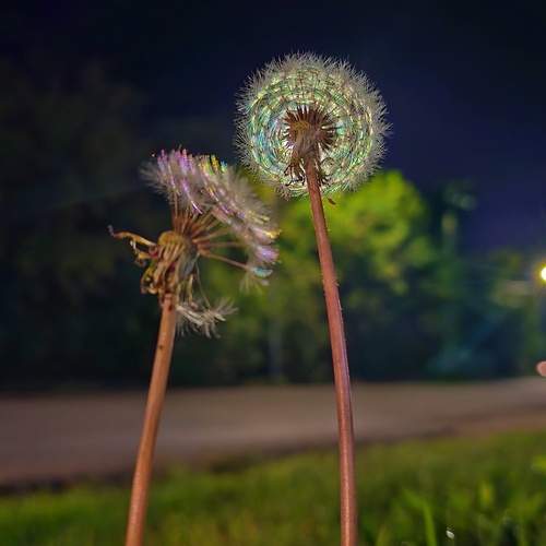Photo #12580030