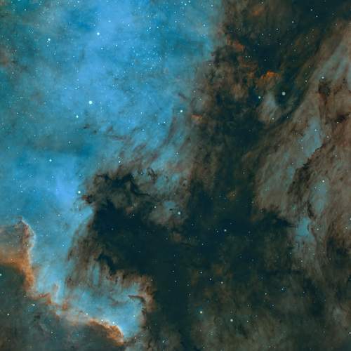 Photo #12580210