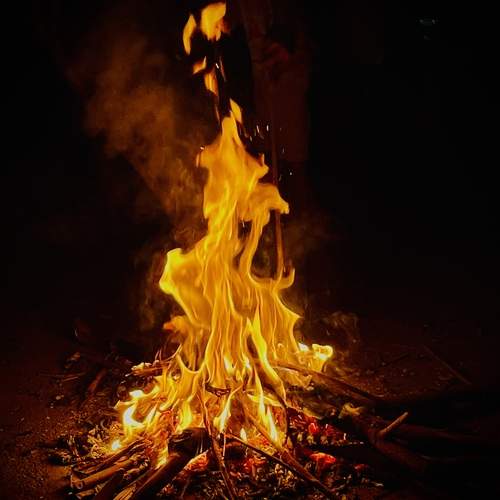 Photo #12580240