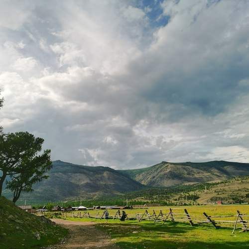 Photo #12580450