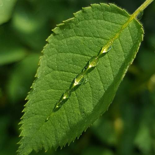 Photo #12580512