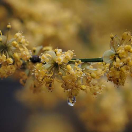 Photo #12580544