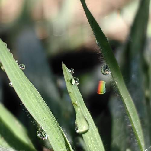 Photo #12580760