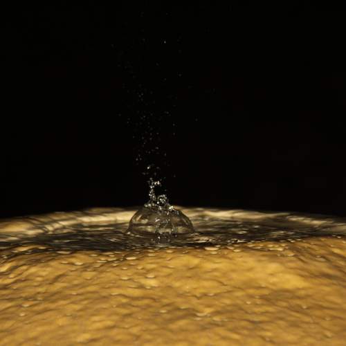 Photo #12580833