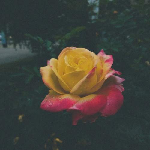 Photo #12580936
