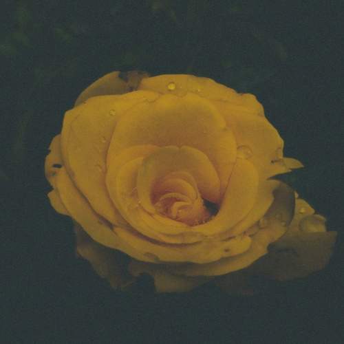 Photo #12580948