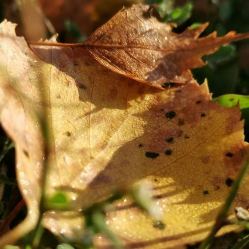 Photo #12580961
