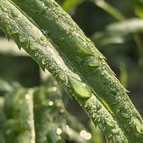 Photo #12581144