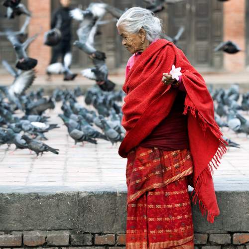 Photo #12581156