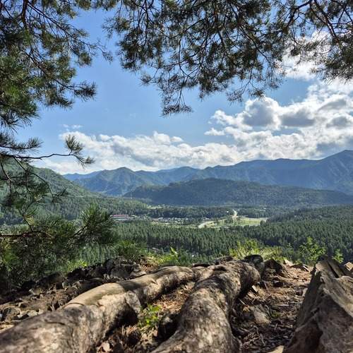 Photo #12581225