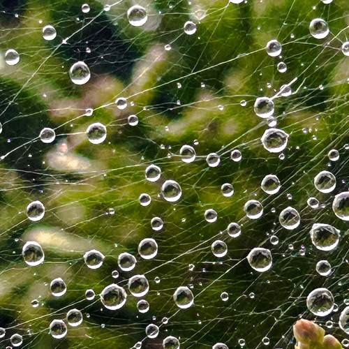 Photo #12581317