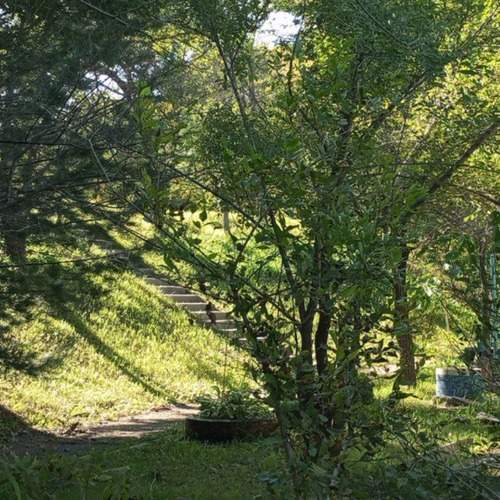 Photo #12581461