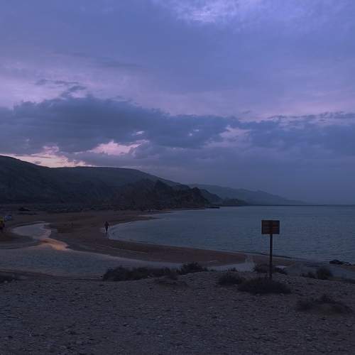 Photo #12581463