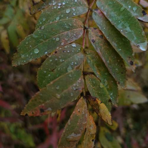 Photo #12581606