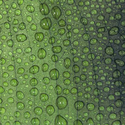 Photo #12581625