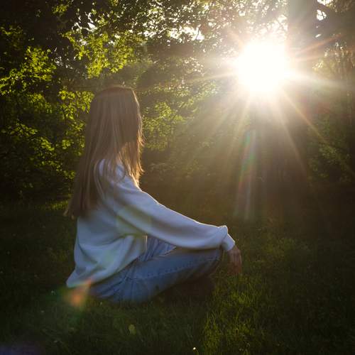 Photo #12581636