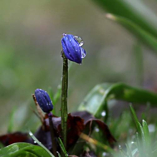 Photo #12581689