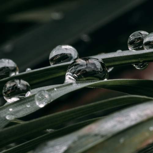 Photo #12581745