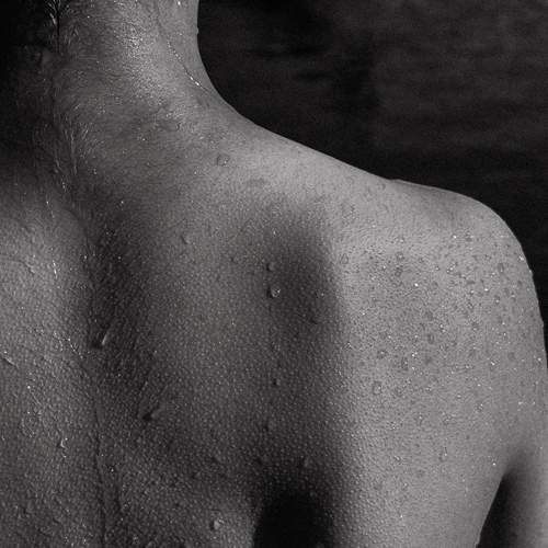 Photo #12581766