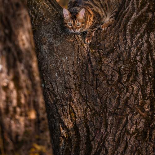 Photo #12581858