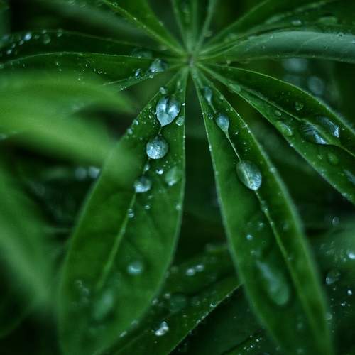 Фотография #12581911