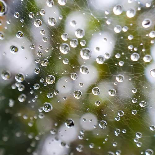 Photo #12582042