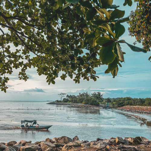 Where Stillness Begins: A Journey Beyond the Shore