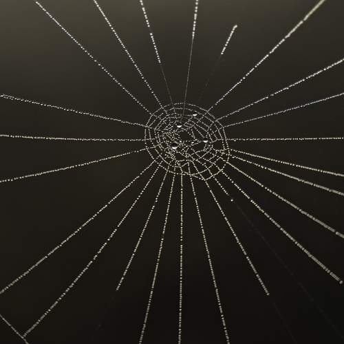 Photo #12582074