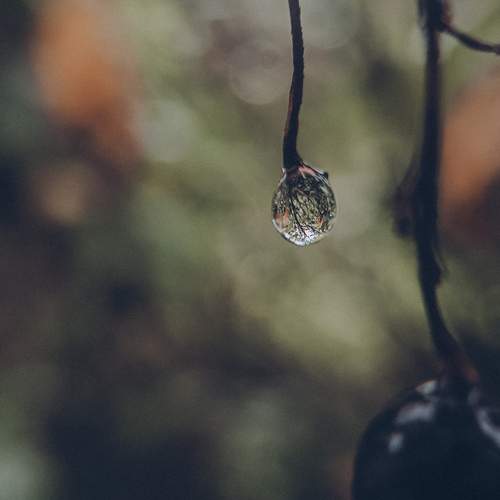 Photo #12582337