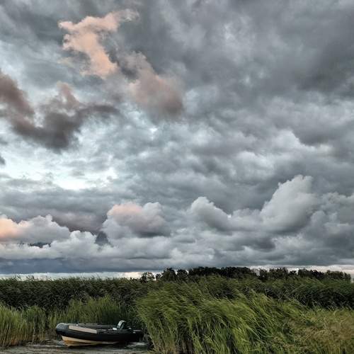 Photo #12582354