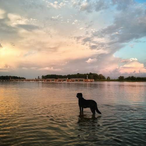Photo #12582357