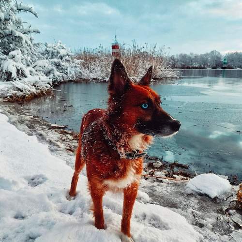 Моя неземная