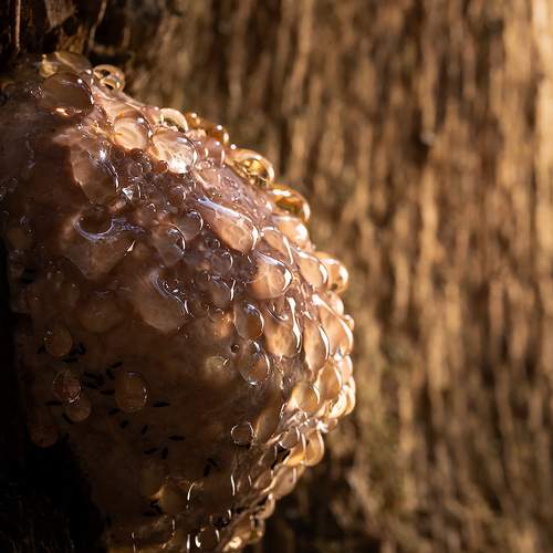 Photo #12582409