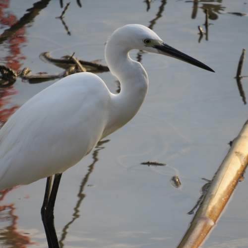 Photo #12582414