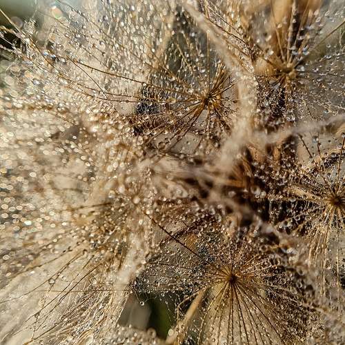 Photo #12582534