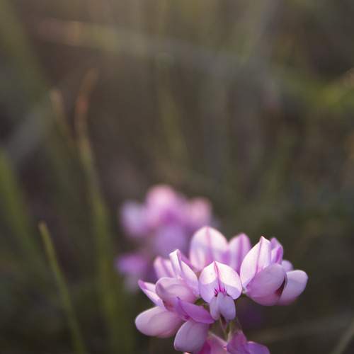 Photo #12582643