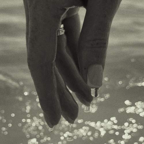 Photo #12582969