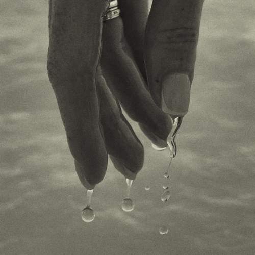 Photo #12582970