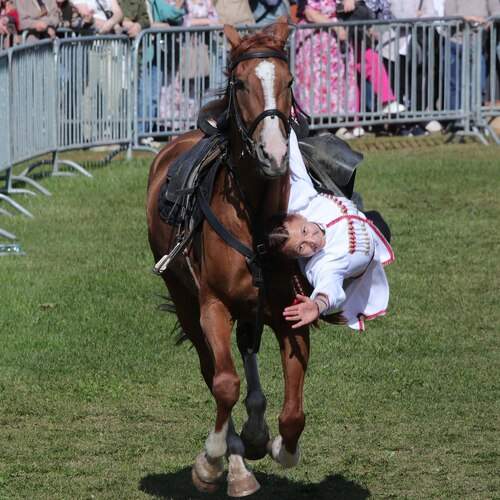 Photo #12583214
