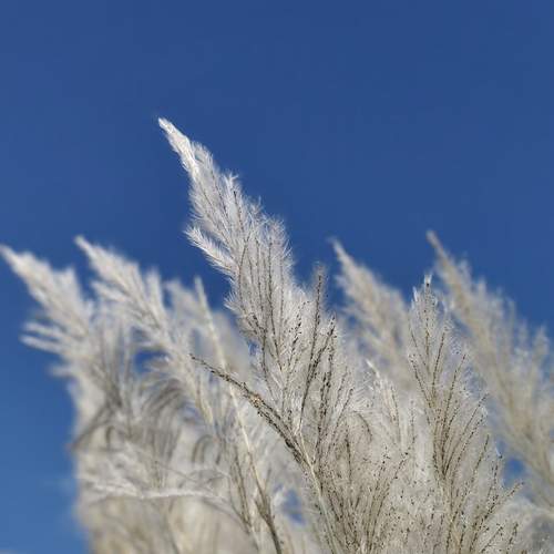 Photo #12583330