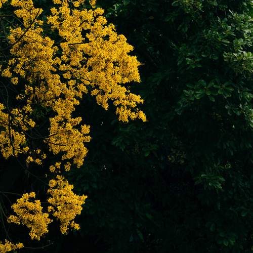 Photo #12583393