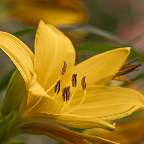 Photo #12583430