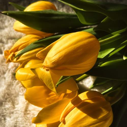 Photo #12583490