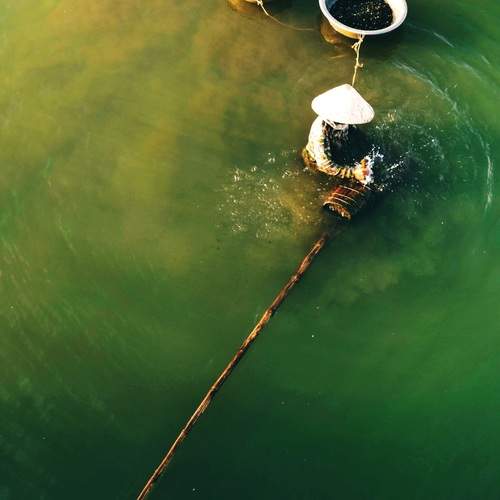 Photo #12583501